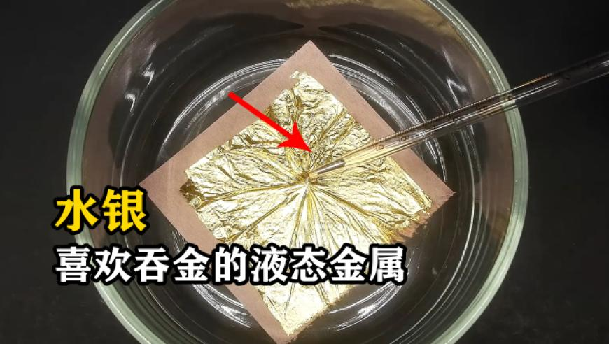 新澳2025年精准一肖一码期的开奖结果,萌娃看《哪吒2》后说要投诉导演,经济性执行方案剖析_网红版V14.42