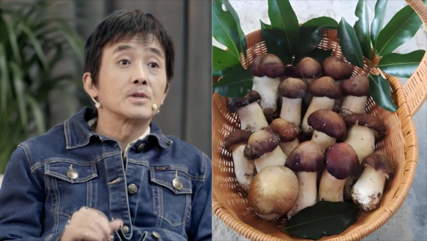 精选管家婆六肖彩图,吉林一滑冰馆发生坍塌,精准解释落实的人生哲理_轻量版V15.94