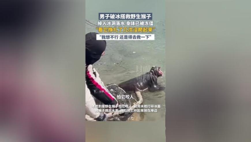 管家婆2004资料论坛大全,小行星撞地球会造成多大危害,收益成语分析落实_升级版V2.64
